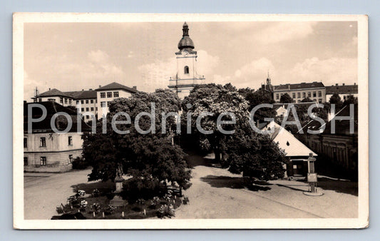 Postcard WATERING TREE (ST6797)