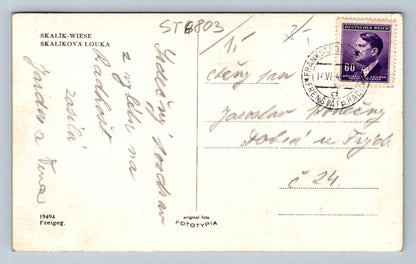 Postcard SKALÍKOVA MEADOW (ST6803)