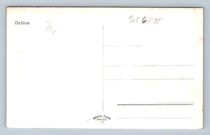 Postcard DAČICE (ST6818)
