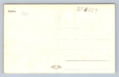 Postcard DAČICE (ST6821)