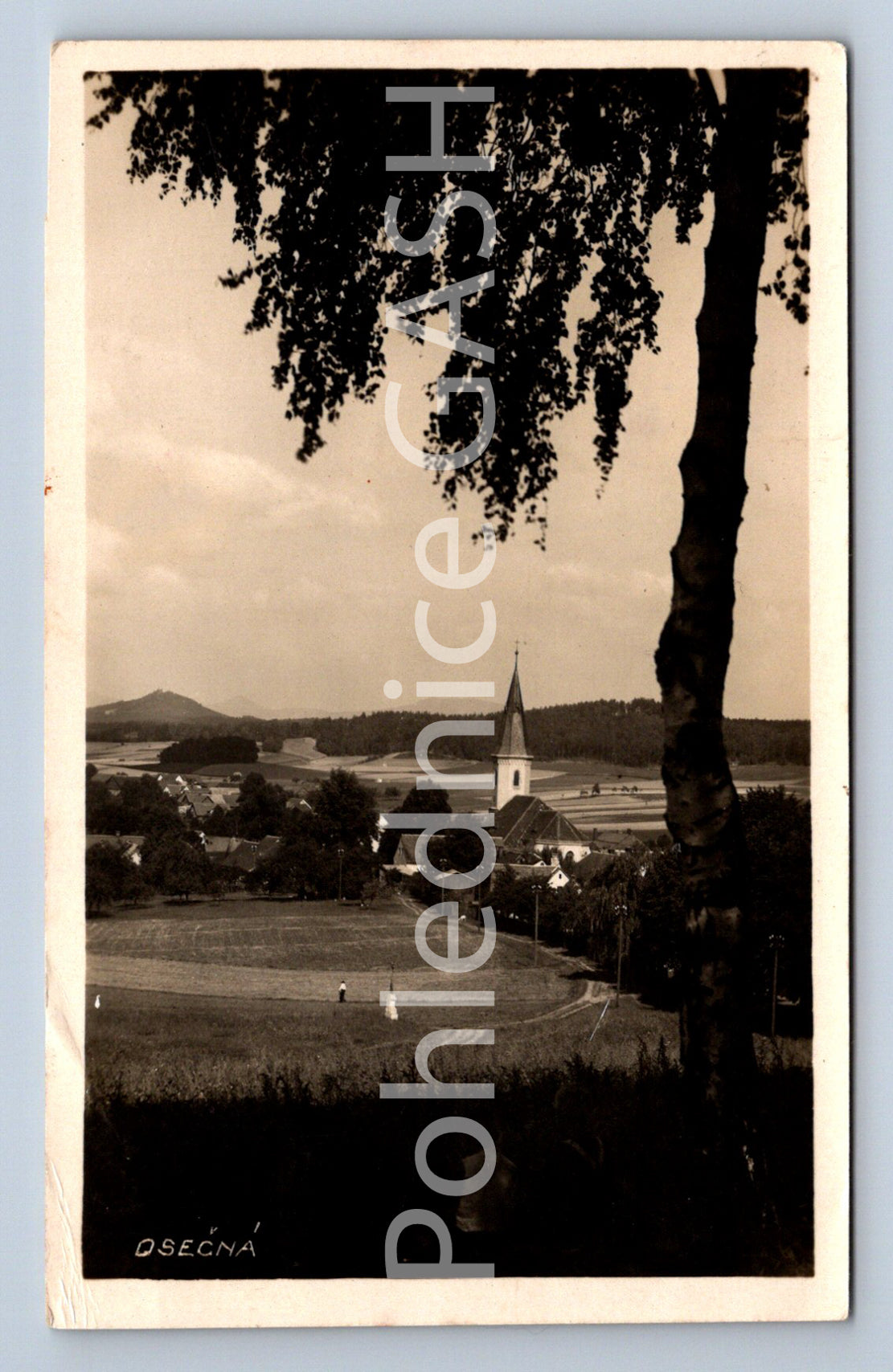Postcard OSEČNÁ (ST6826)