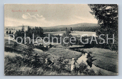 Postcard GINGERBEAR AT CROSSWORD CLUB (ST6853)