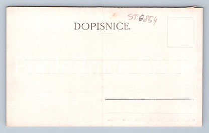 Postcard SHELF (ST6854)