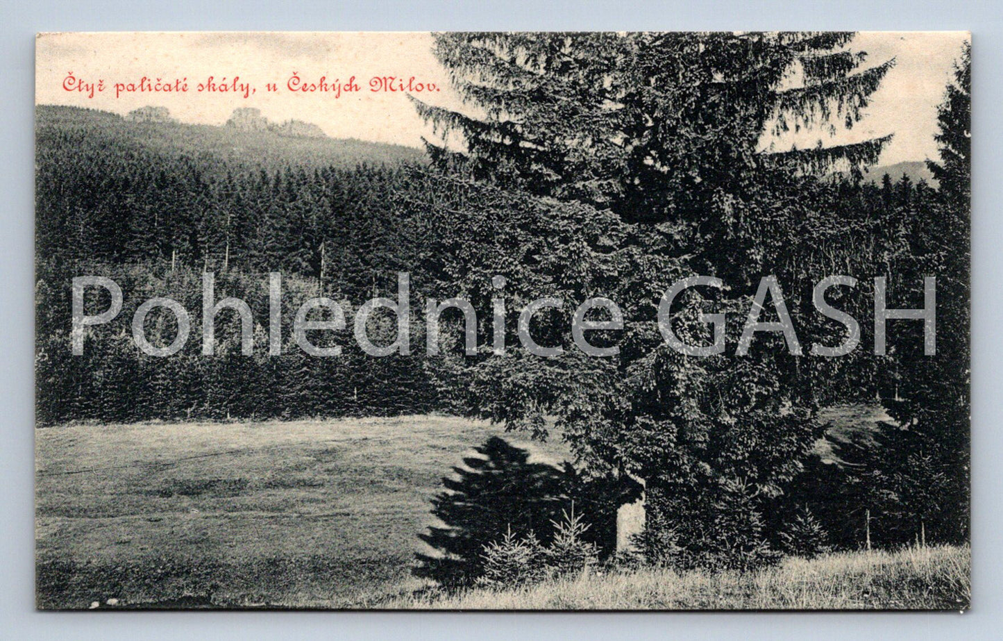 Postcard CZECH LOVE (ST6855)
