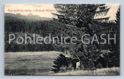 Postcard CZECH LOVE (ST6855)