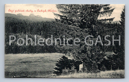 Postcard CZECH LOVE (ST6856)