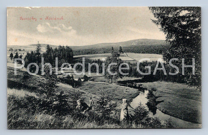 Postcard GINGERBEAR AT CROSSWORD CLUB (ST6858)