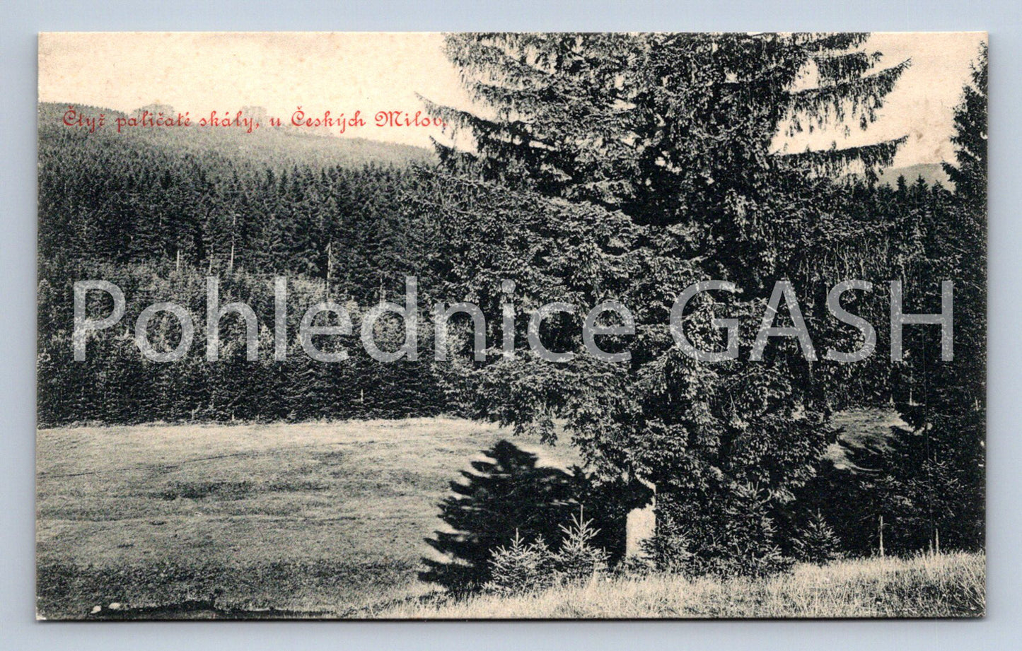 Postcard CZECH LOVE (ST6863)