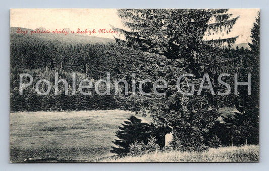 Postcard CZECH LOVE (ST6863)