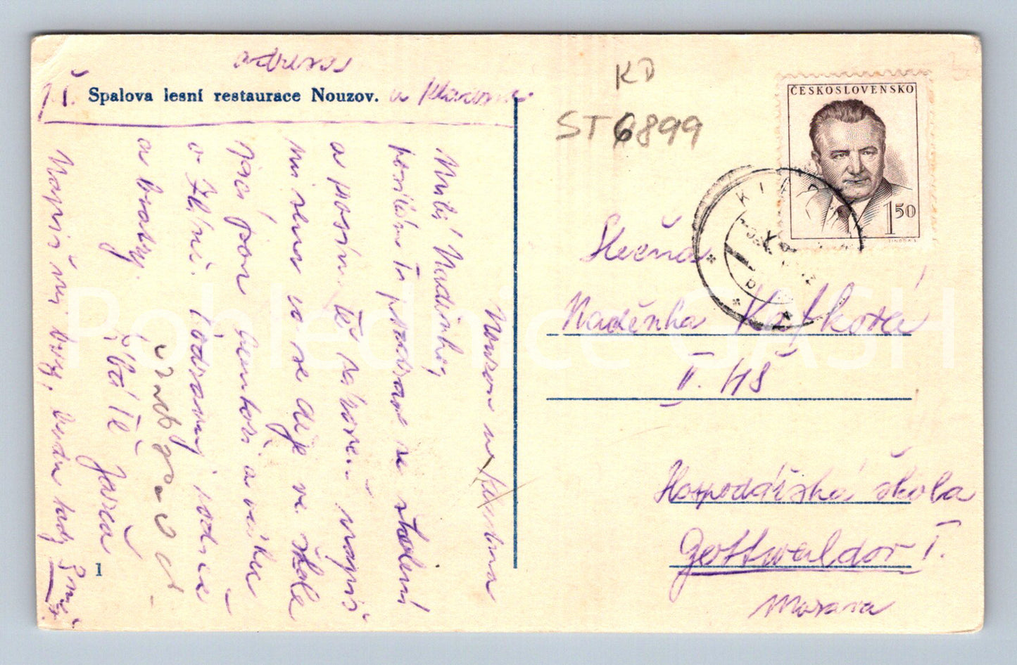 Postcard SPAL'S FOREST RESTAURANT NOUZOV (ST6899)