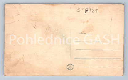 Postcard ELBE DAM IN TĚŠNOV (ST6921)