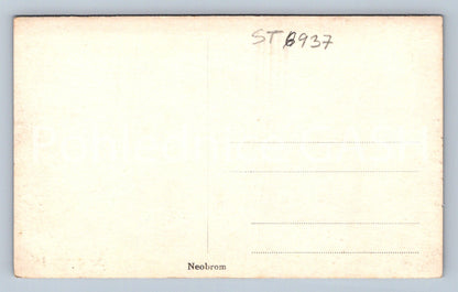 Postcard TŘEBECHOVICE (ST6937)