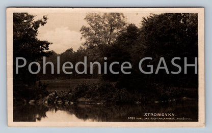 Postcard TREE (ST6967)