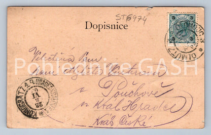 Postcard GREETINGS FROM OLOMOUC (ST6974)