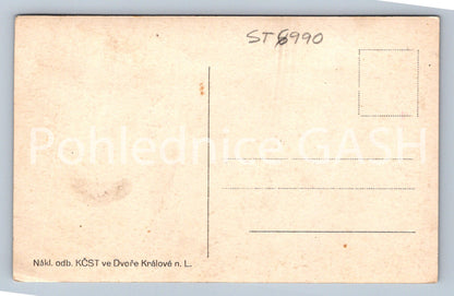 Postcard ELBE RESERVOIR IN TĚŠNOV (ST6990)