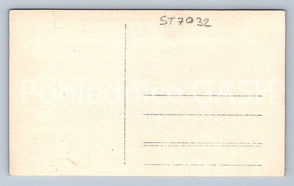 Postcard RYCHNOV NAD KNĚŽNOU (ST7032)