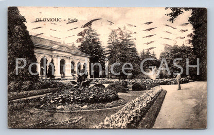 Postcard OLOMOUC (ST7036)