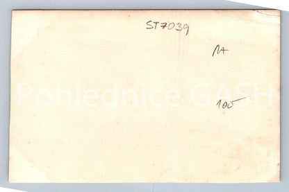 Postcard LÁZNĚ SEDMIHORKY (ST7039)