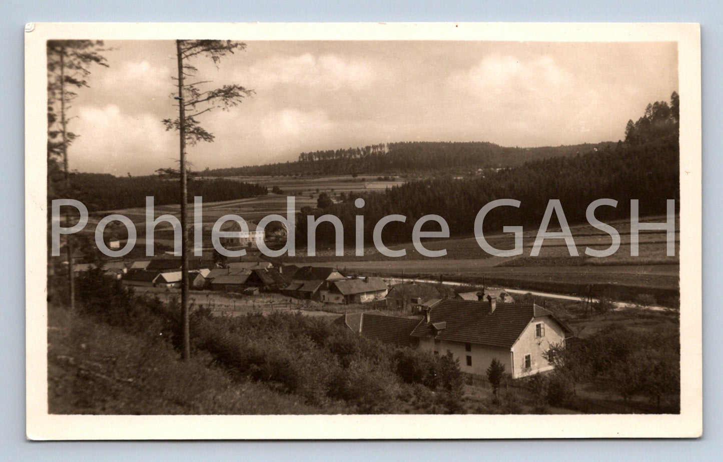 Postcard JAVORIČKO (ST7042)