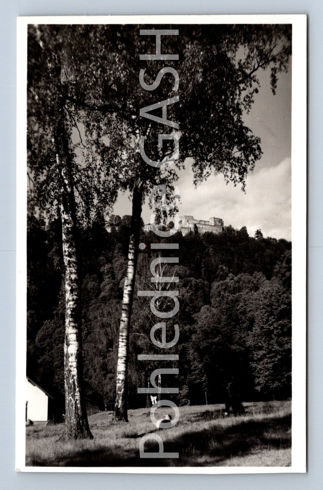 Postcard KUNVALDY CASTLE (ST7047)