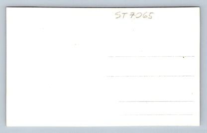 Postcard VYŠŠÍ BROD (ST7065)