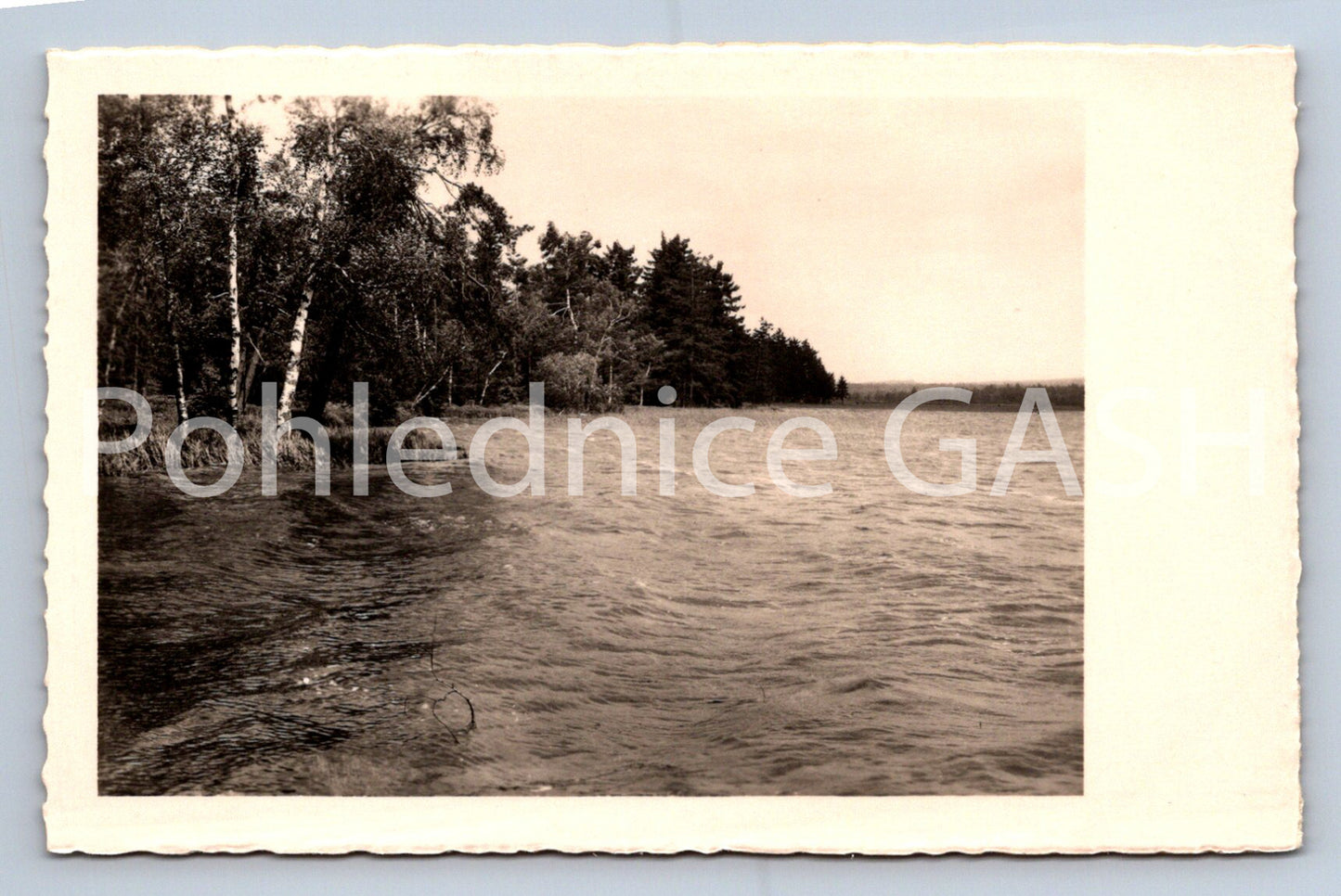 Postcard AT THE POND (ST7115)