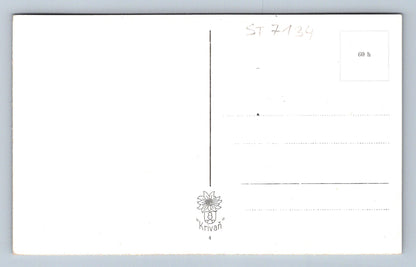 Postcard HIGH TATRAS (ST7134)