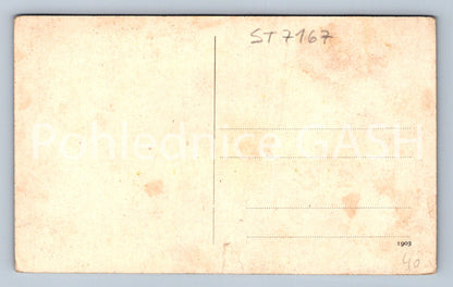 Postcard LIPNICE NAD SÁZAVOU (ST7167)