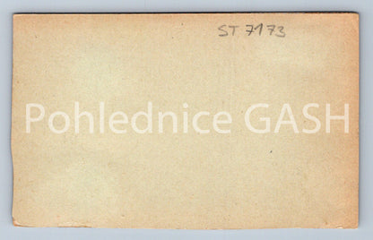 Postcard CZECH CITY (ST7173)