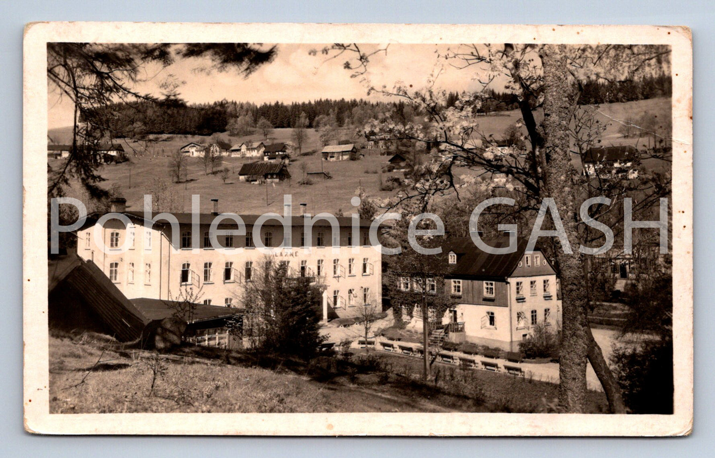 Postcard LÁZNĚ KOŘENOV (ST7184)