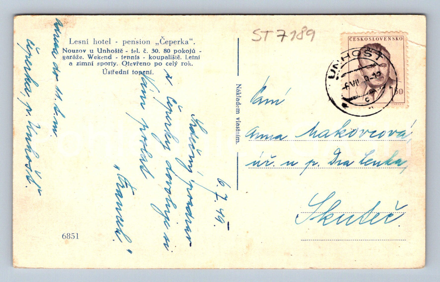 Postcard FOREST HOTEL - PENISON ČEPERKA (ST7189)