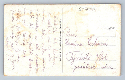 Postcard GREETINGS FROM DOMAŽLIC (ST7194)