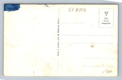 Postcard TŘEBÍC (ST7203)