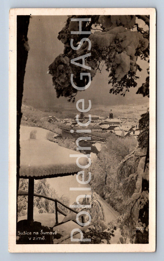 Postcard SUŠICE IN ŠUMAVÁ (ST7217)
