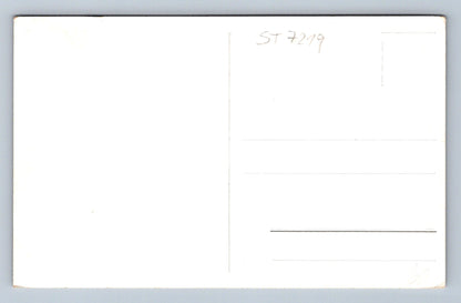 Pohlednice BRNO (ST7219)