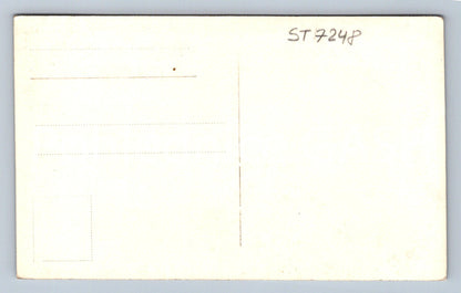 Postcard OŘEŠÁK - HEJNICE (ST7248)