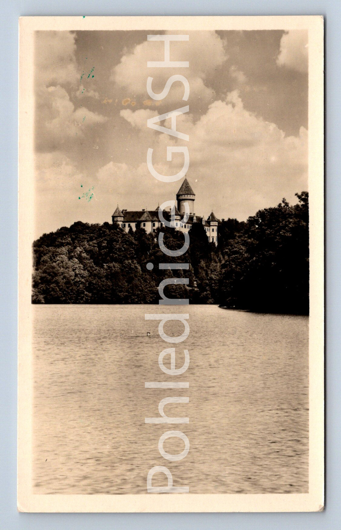 Postcard KONOPIŠTĚ CASTLE (ST7260)