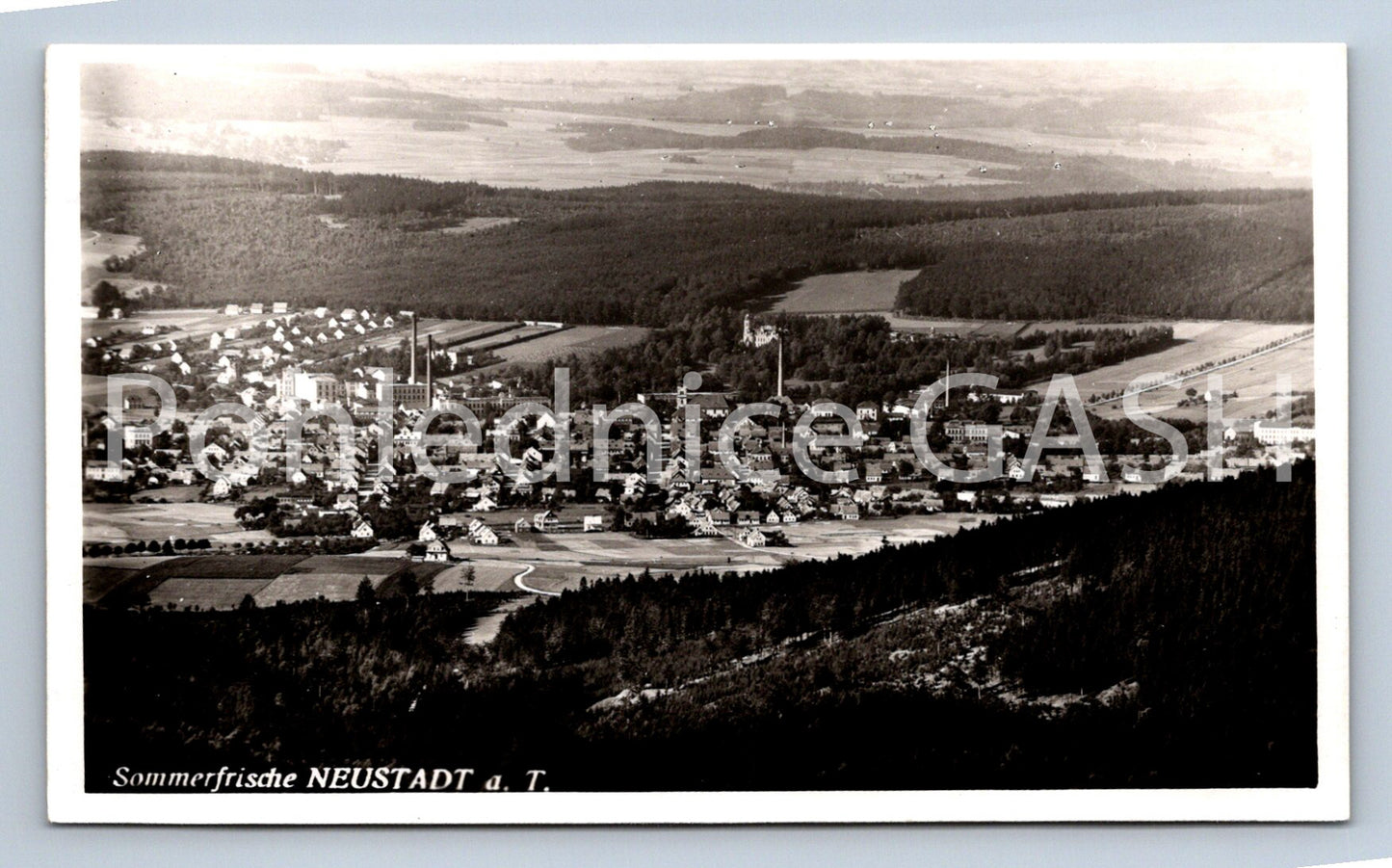 Postcard SOMMERFRISCHE NEUSTADT AT (ST7266)