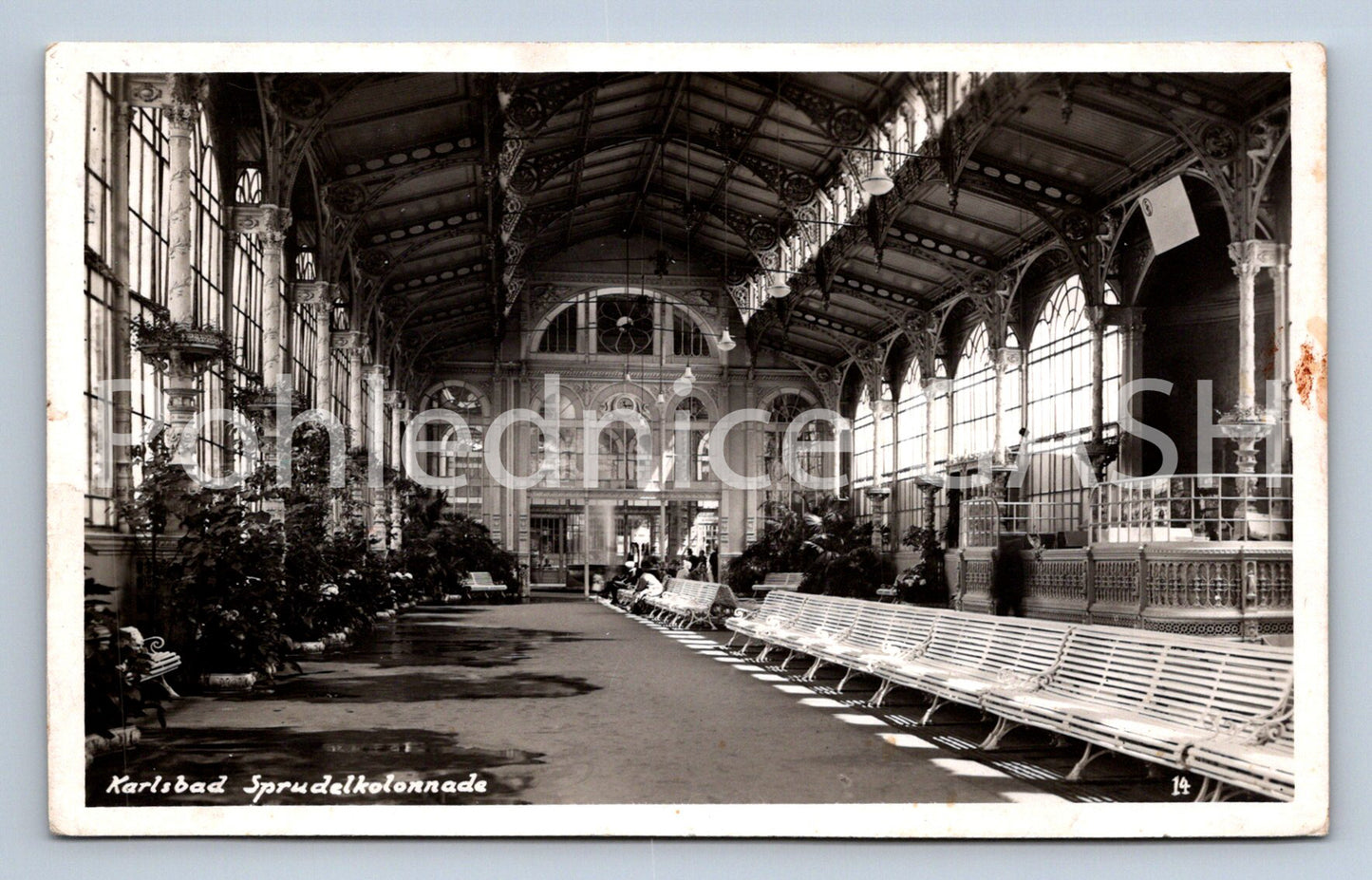 Postcard KARLOVY VARY (ST7279)