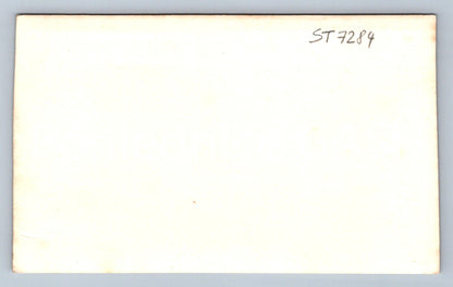 Postcard PRACHOVICE (ST7284)