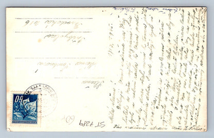 Postcard NEW CASTLE AT VYSOKÝ MÝTO (ST7289)