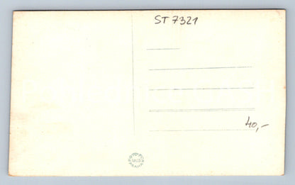 Postcard BZENEC (ST7321)