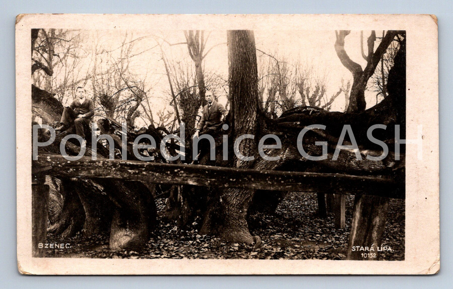 Postcard BZENEC (ST7322)