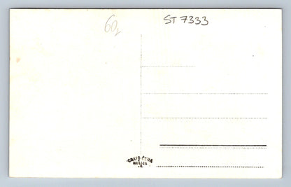 Postcard TŘEBECHOVICE (ST7333)