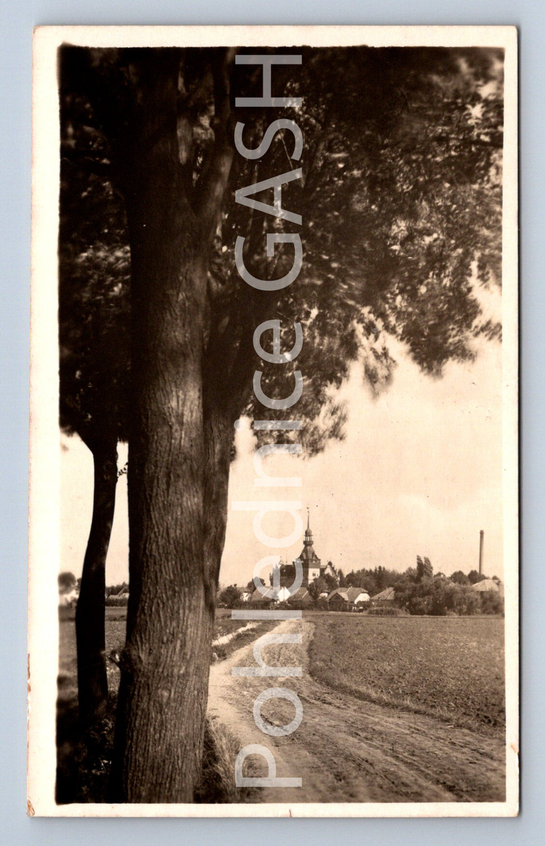 Postcard DAŠICE (ST7337)