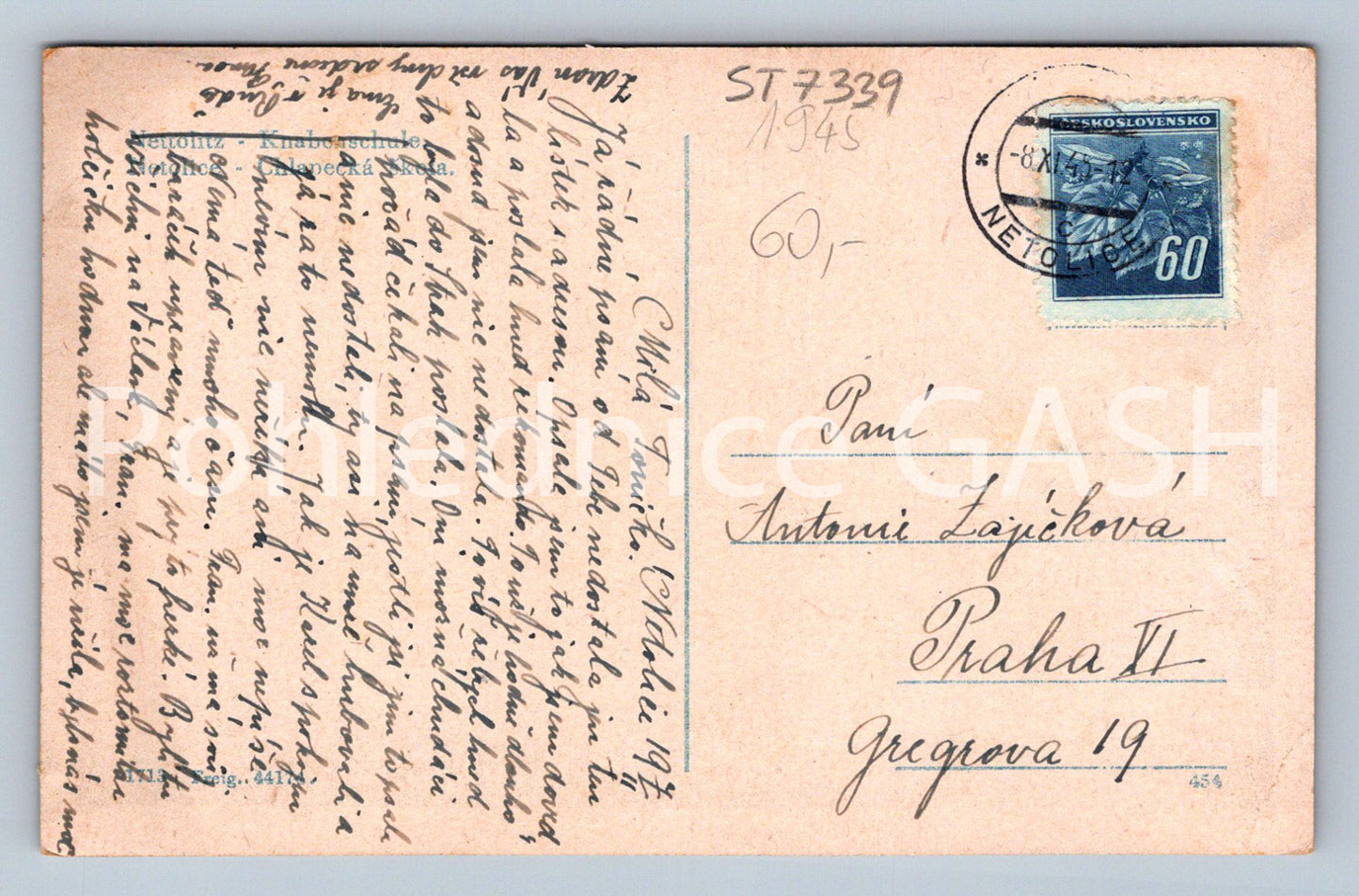 Postcard NETOLICE - BOYS' SCHOOL (ST7339)