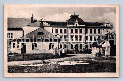 Postcard NETOLICE - BOYS' SCHOOL (ST7339)