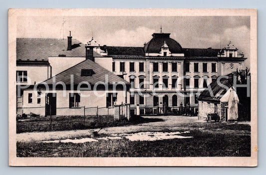 Postcard NETOLICE - BOYS' SCHOOL (ST7339)