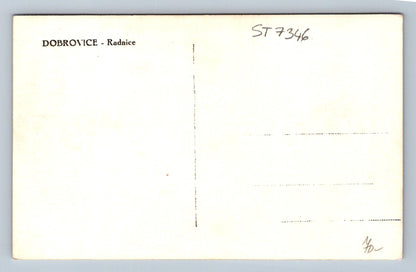 Postcard DOBROVICE - TOWN HALL (ST7346)