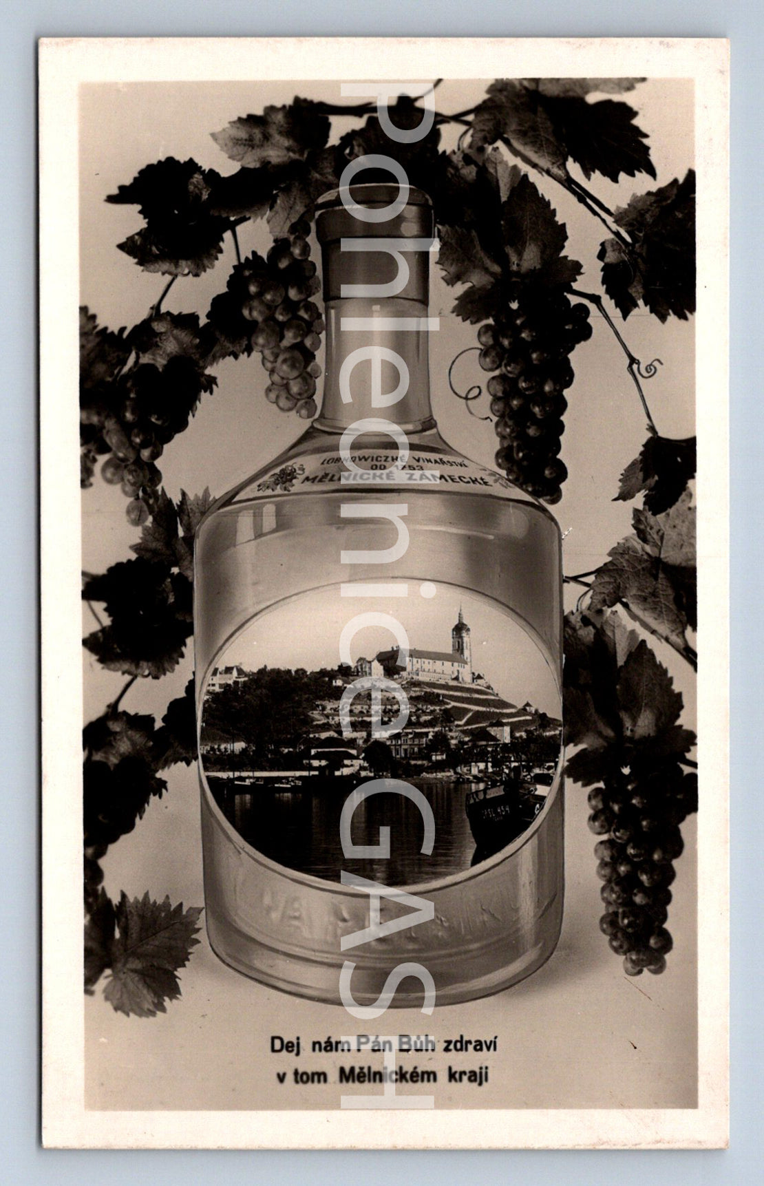 Postcard MILLER (ST7350)